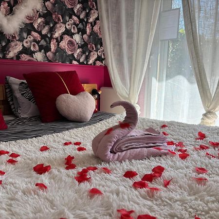 Romantisme Et Glamour 2 Avec Spa , Clim Et Jardin Dijon Bagian luar foto