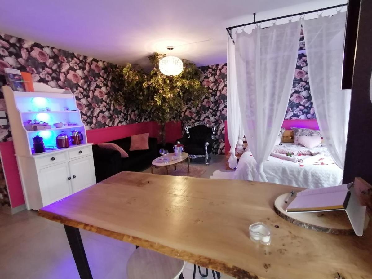 Romantisme Et Glamour 2 Avec Spa , Clim Et Jardin Dijon Bagian luar foto